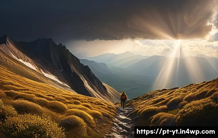 역경 극복 후 변화된 나에 대한 성찰 관련 이미지 1
