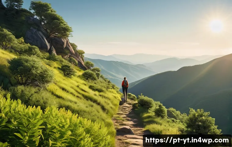 역경 속에서의 배움과 성장 - **Prompt:** A person stands confidently at the top of a winding, slightly overgrown path on a mounta...